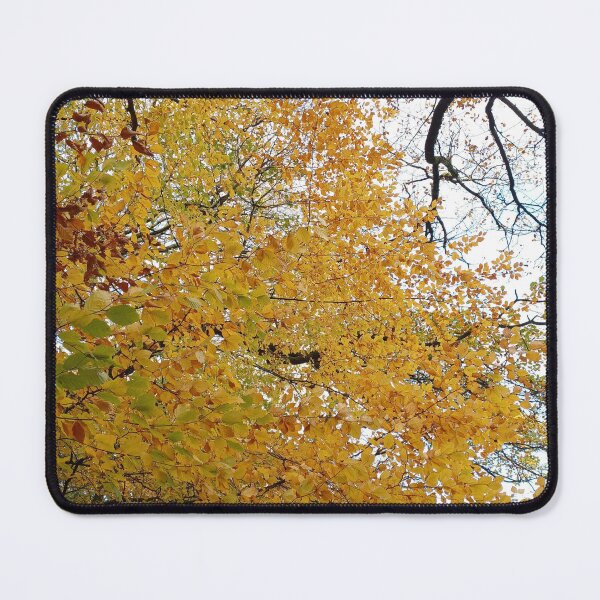 Item preview, Saddleworth Autumn I designed and sold by dawnsm.