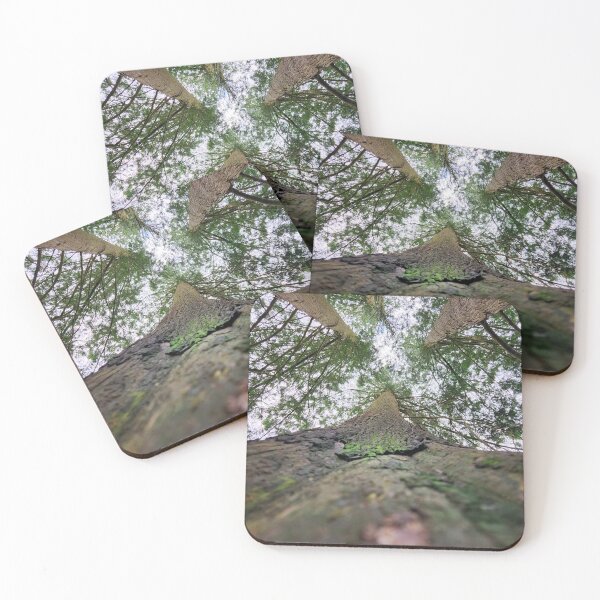 Item preview, Looking up at the Irish Sky designed and sold by MinaBohl.