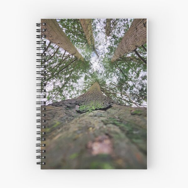 Item preview, Looking up at the Irish Sky designed and sold by MinaBohl.