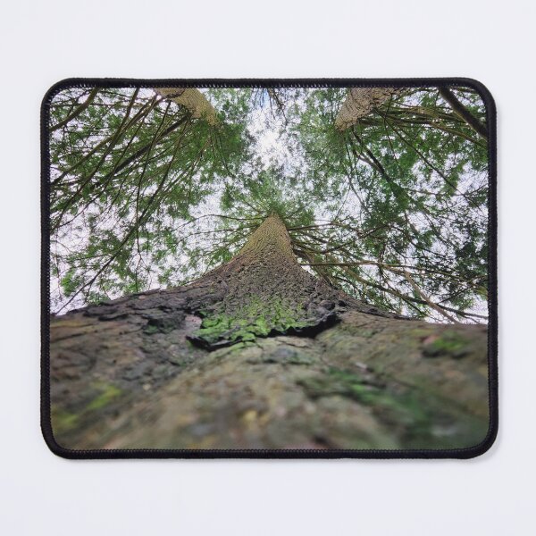 Item preview, Looking up at the Irish Sky designed and sold by MinaBohl.