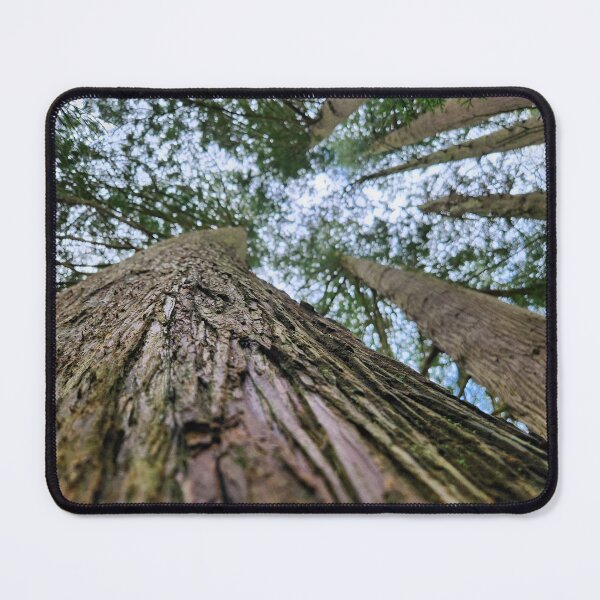 Item preview, Looking up at the Irish Sky Part 2 designed and sold by MinaBohl.