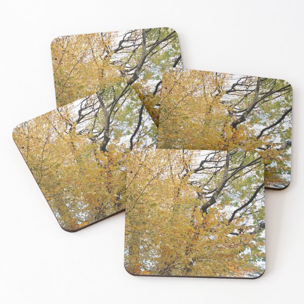 Item preview, Saddleworth Autumn II designed and sold by dawnsm.