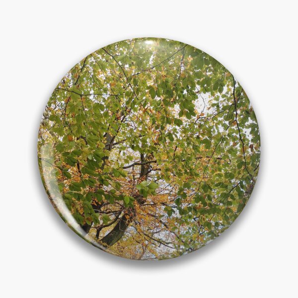 Item preview, Saddleworth Autumn III designed and sold by dawnsm.