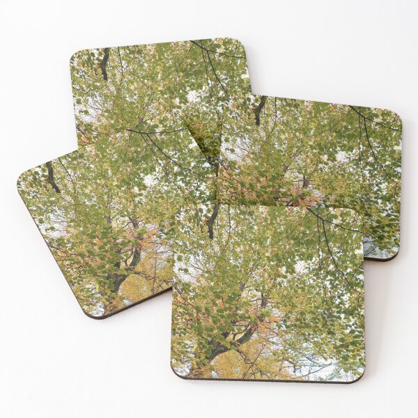 Item preview, Saddleworth Autumn III designed and sold by dawnsm.