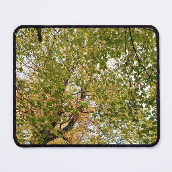 Item preview, Saddleworth Autumn III designed and sold by dawnsm.