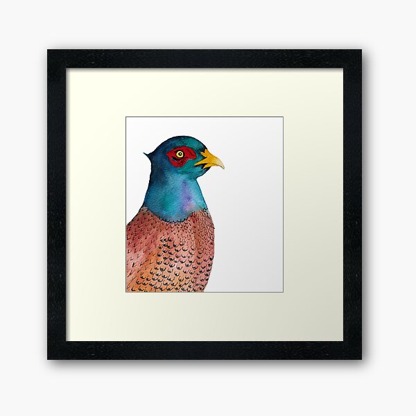 Pheasant Bird Watercolor Painting Wildlife Artwork Framed Art Print