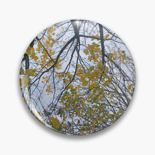 Item preview, Neighbourhood Trees I designed and sold by dawnsm.