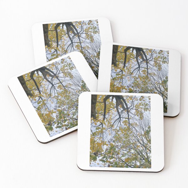 Item preview, Neighbourhood Trees I designed and sold by dawnsm.