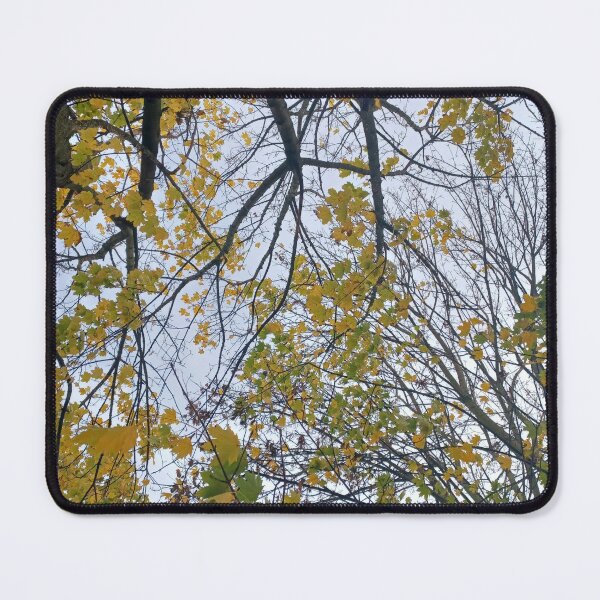 Item preview, Neighbourhood Trees I designed and sold by dawnsm.