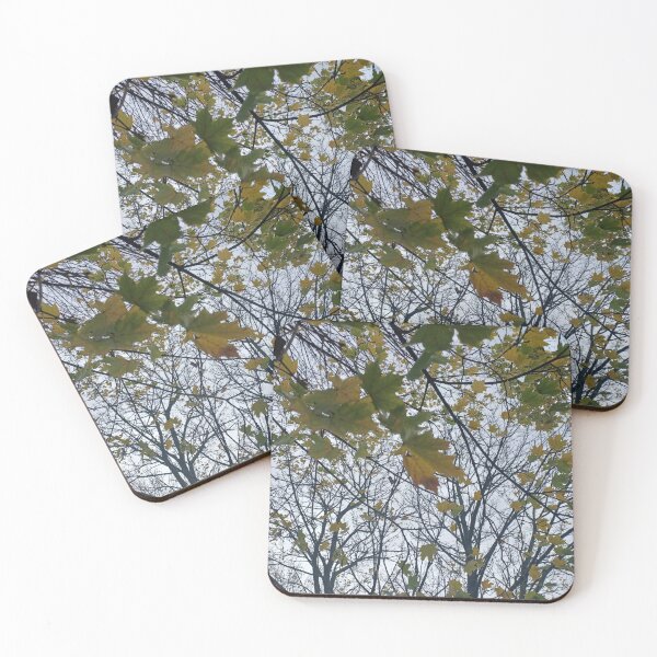 Item preview, Neighbourhood Trees II designed and sold by dawnsm.