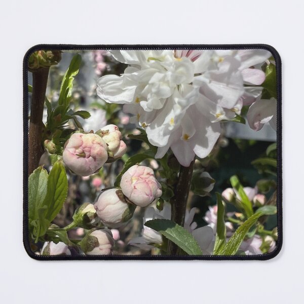 Item preview, Pink Flowering Almond designed and sold by Betsy Phillips.