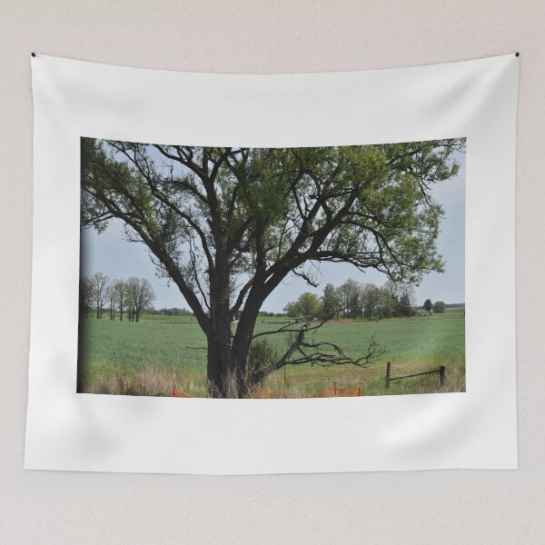 Item preview, Tree designed and sold by corichard.
