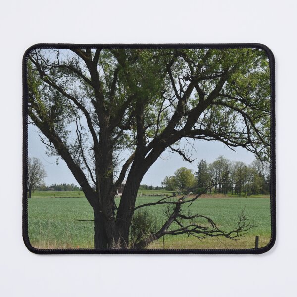 Item preview, Tree designed and sold by corichard.