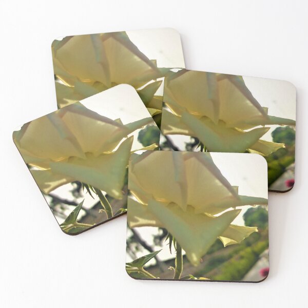 Item preview, yellow flower in the garden designed and sold by sadeek1021953Ss.