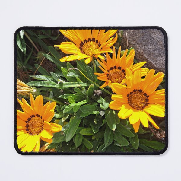 Item preview, orange flower in the garden designed and sold by sadeek1021953Ss.