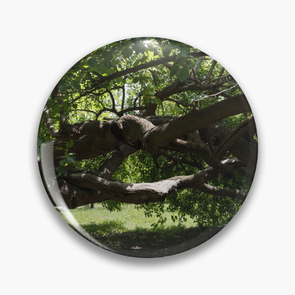 Item preview, Eccentric Mulberry Tree With Horizontal Limbs Creating Unique Shelter designed and sold by Georgia Mizuleva.