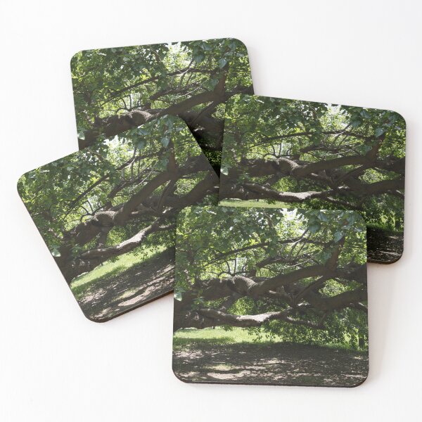 Item preview, Eccentric Mulberry Tree With Horizontal Limbs Creating Unique Shelter designed and sold by Georgia Mizuleva.