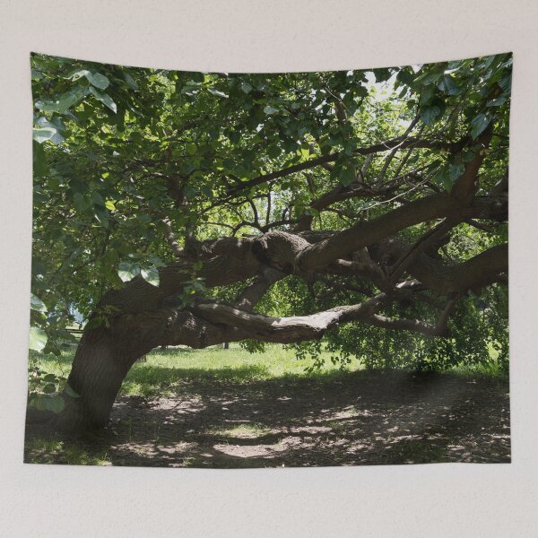 Item preview, Eccentric Mulberry Tree With Horizontal Limbs Creating Unique Shelter designed and sold by Georgia Mizuleva.