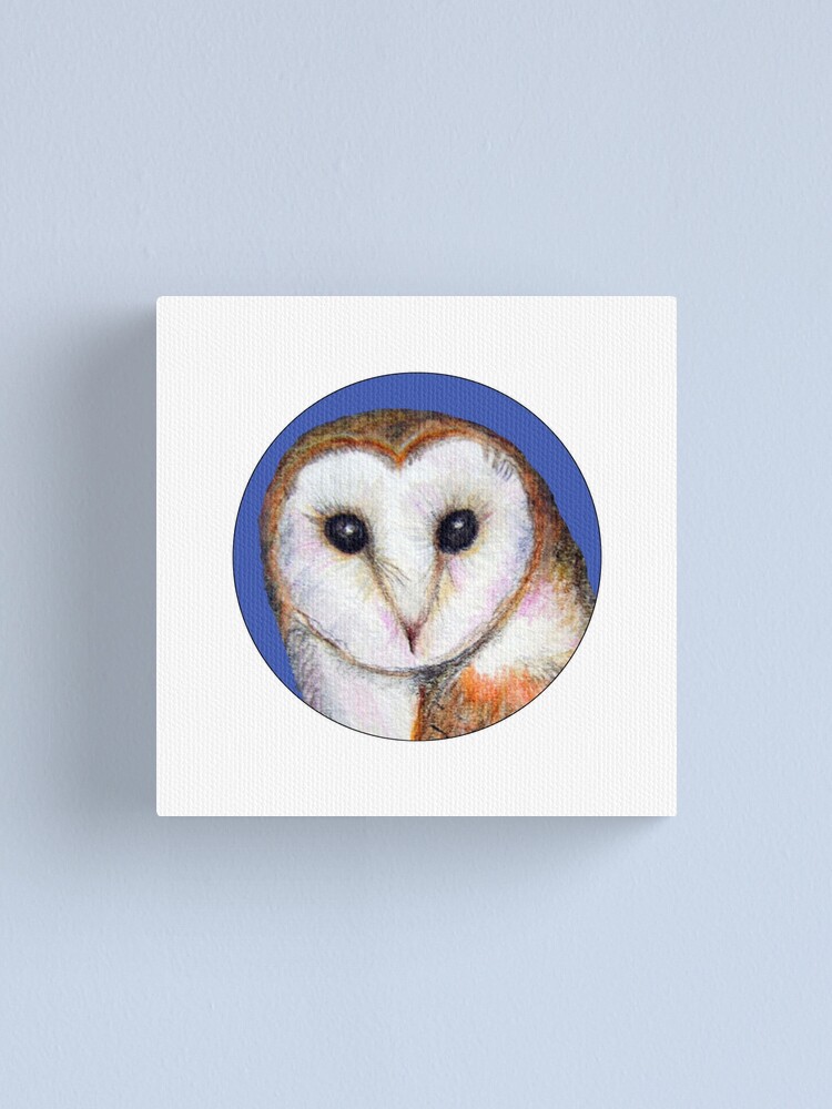 Barn Owl Bird Watercolor Painting Wildlife Artwork Canvas Print