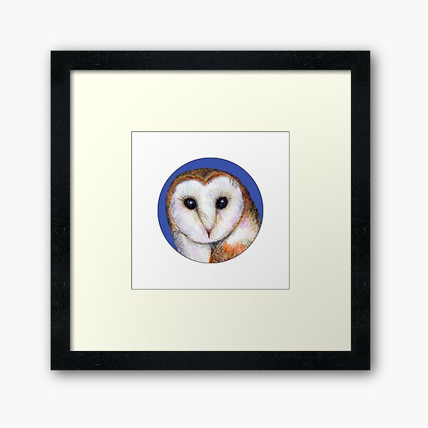 Barn Owl Bird Watercolor Painting Wildlife Artwork Framed Art Print