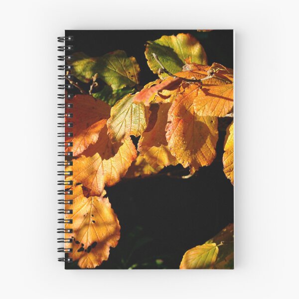 Item preview, Autumn gold designed and sold by keithmilligan.