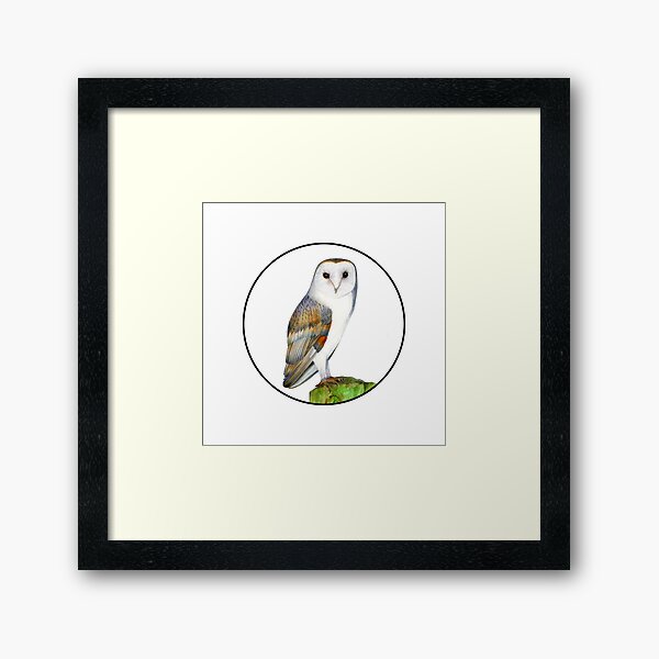 Barn Owl Bird Watercolor Painting Wildlife Artwork Framed Art Print