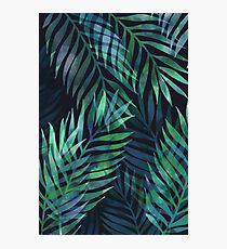 Dark green palms leaves pattern Photographic Print