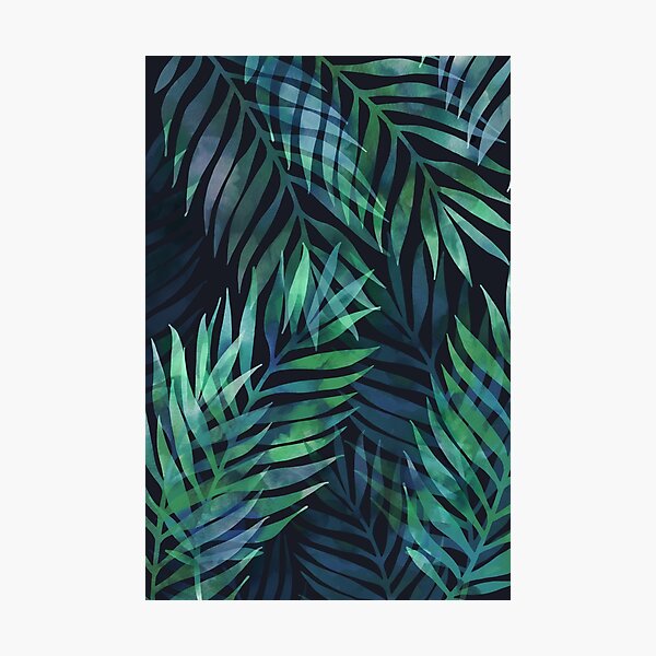 Dark green palms leaves pattern Photographic Print