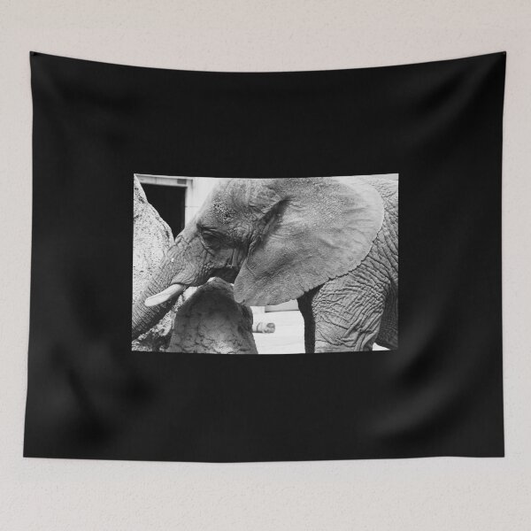 Item preview, Photograph of an elephant designed and sold by ocelotlcalli.