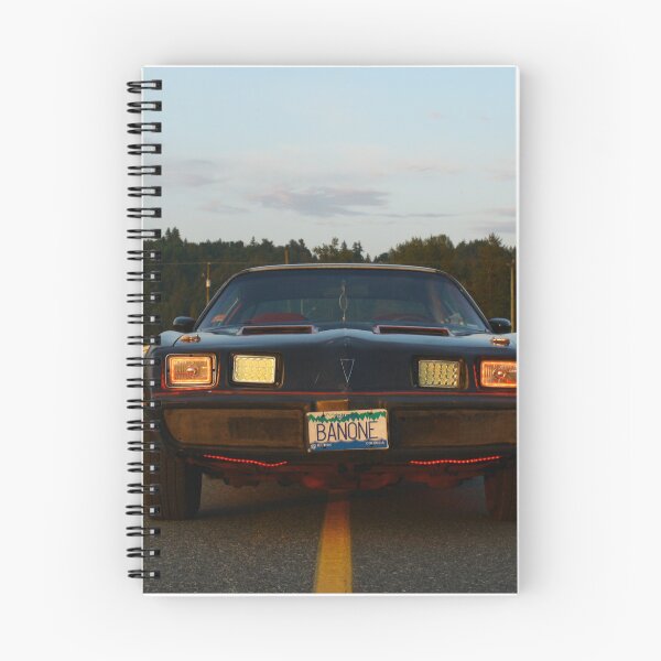Item preview, Póster Firebird Bandit Atardecer de verano 1 Carlyandthebandit designed and sold by Carly Baerg.