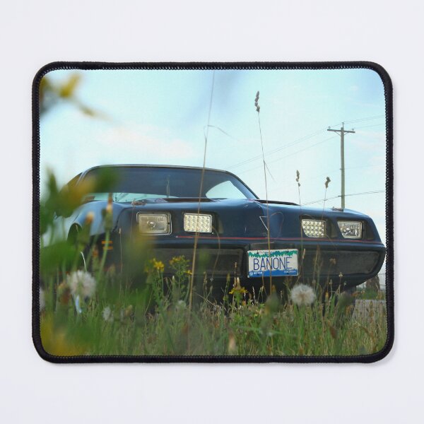Item preview, Firebird Bandit Poster Summer Grass Carlyandthebandit designed and sold by Carly Baerg.