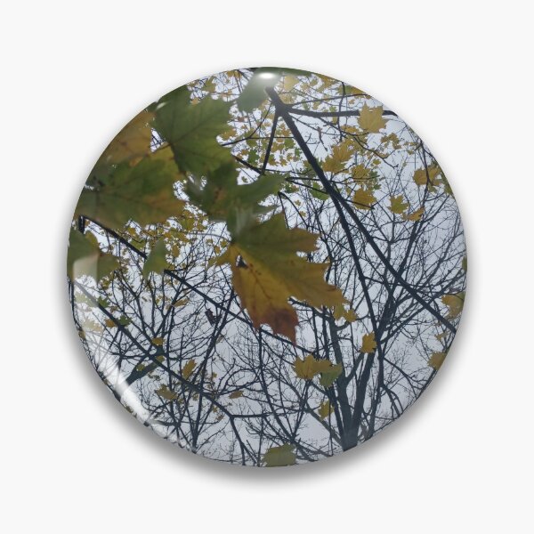 Item preview, Neighbourhood Trees II designed and sold by dawnsm.