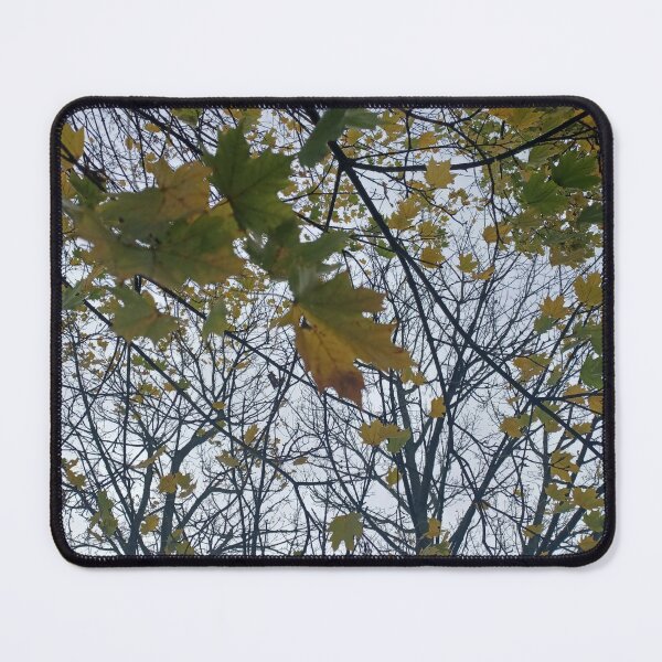 Item preview, Neighbourhood Trees II designed and sold by dawnsm.