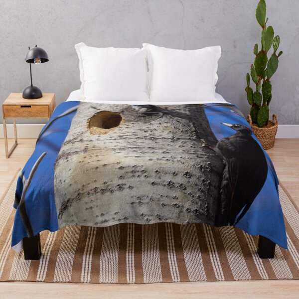 Item preview, Home sweet home. Black woodpecker designed and sold by Jouko Lehto Photography.