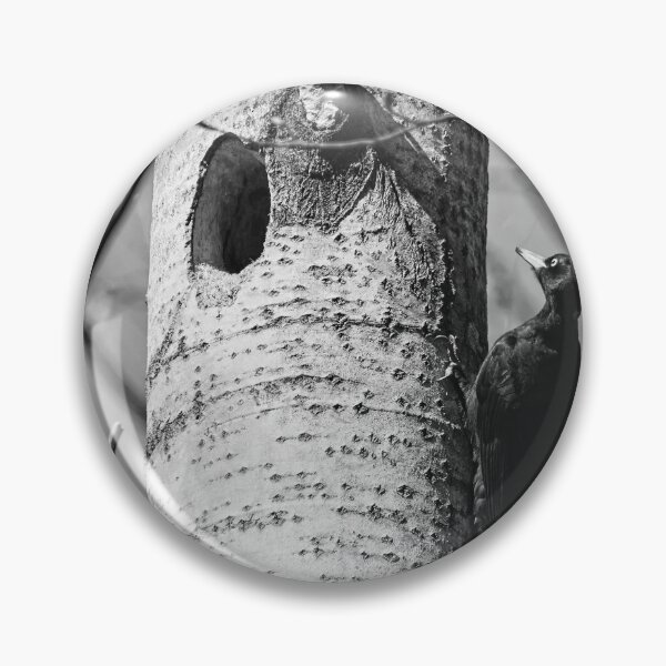 Item preview, Home sweet home. Black woodpecker bw designed and sold by Jouko Lehto Photography.