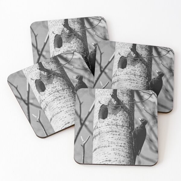Item preview, Home sweet home. Black woodpecker bw designed and sold by Jouko Lehto Photography.