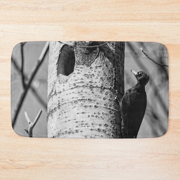 Item preview, Home sweet home. Black woodpecker bw designed and sold by Jouko Lehto Photography.