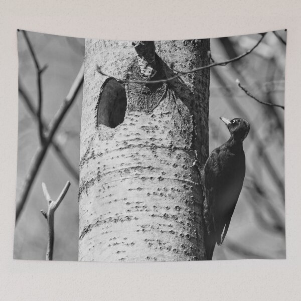 Item preview, Home sweet home. Black woodpecker bw designed and sold by Jouko Lehto Photography.