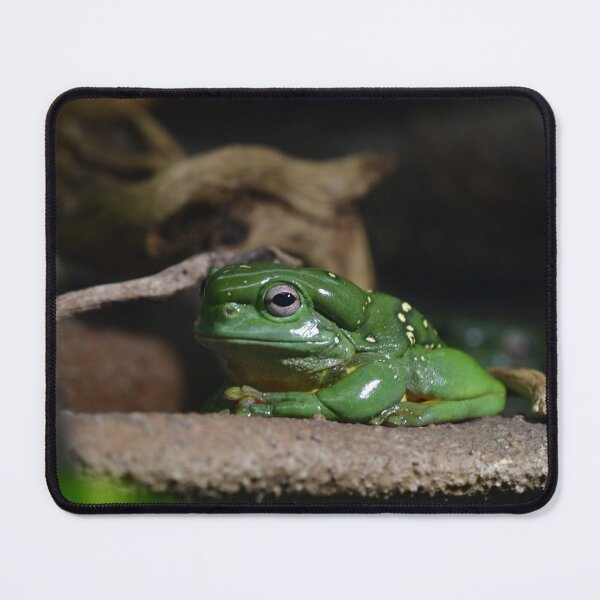 Item preview, Grumpy Frog designed and sold by jteague1707.