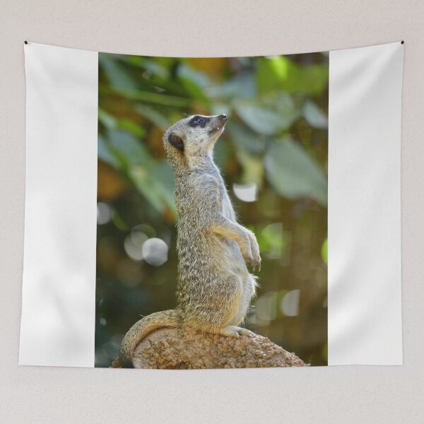 Item preview, Nosy Meerkat designed and sold by jteague1707.
