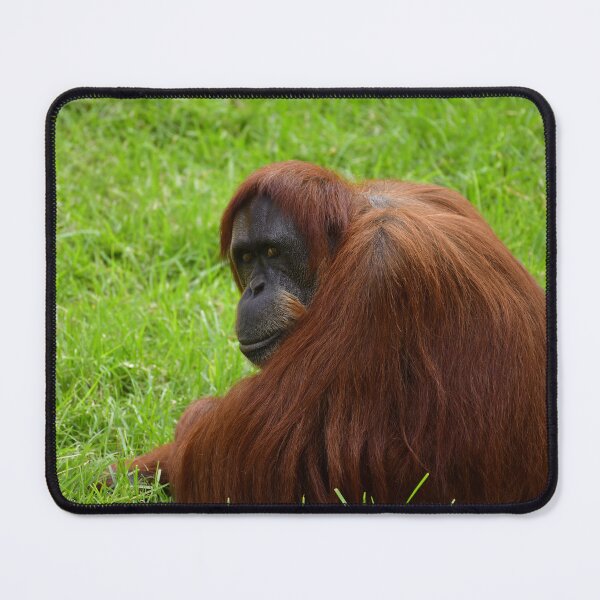 Item preview, Happy Ranga designed and sold by jteague1707.