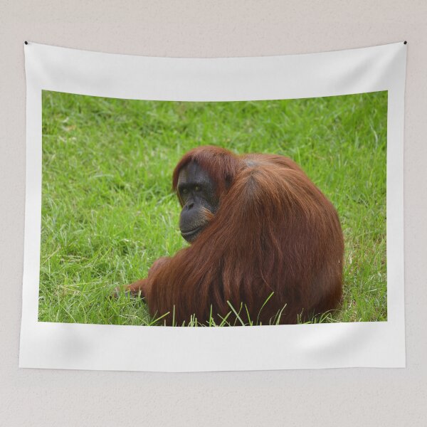 Item preview, Happy Ranga designed and sold by jteague1707.