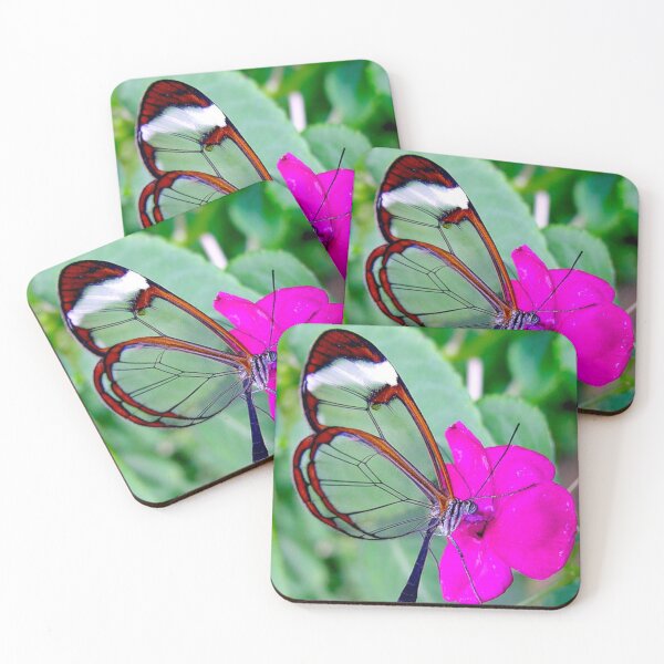 Item preview, “Golden-Edged Beauty: Glasswing Butterfly Sipping Nectar on Pink Blossom” designed and sold by IDoMatterROSASS.