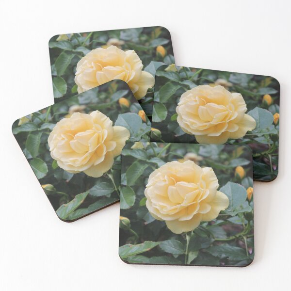 Item preview, Rose photograph designed and sold by Kayla :).