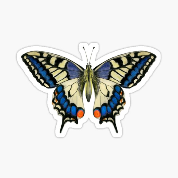 Swallowtail Butterfly Watercolor Painting Wildlife Artwork Sticker