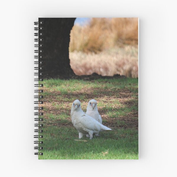 Item preview, Corellas designed and sold by LoJaRuPhotos.