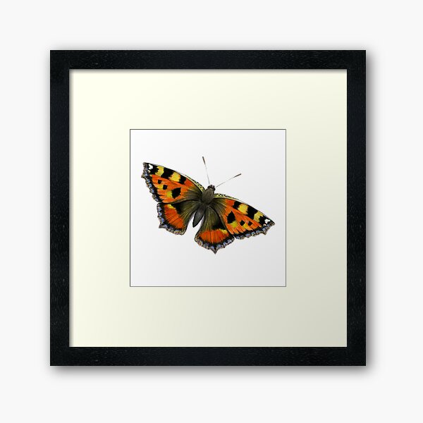 Tortoiseshell Butterfly Watercolor Painting Wildlife Artwork Framed Art Print