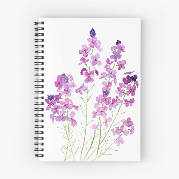 Item preview, magenta wallflowers erysimum Bowles mauve hand painted watercolor designed and sold by SelenePaintings .