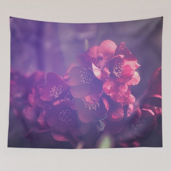 Item preview, Quince designed and sold by ElderIslesPress.