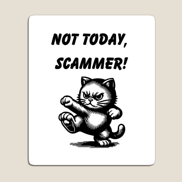 Item preview, Not today, scammer! designed and sold by Micaelamoose.
